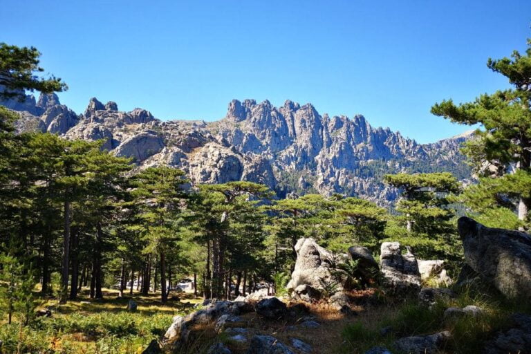 Les Aiguilles de Bavella dans l'Alta Rocca