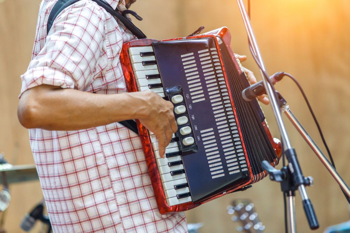 Musicien avec accordéon lors d'une soirée guinguette